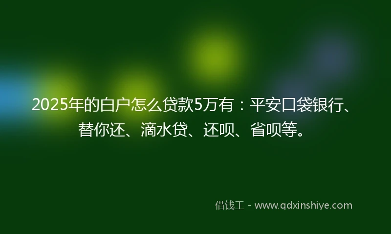 2025年的白户怎么贷款5万有：平安口袋银行、替你还、滴水贷、还呗、省呗等。