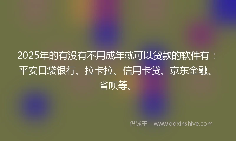 2025年的有没有不用成年就可以贷款的软件有：平安口袋银行、拉卡拉、信用卡贷、京东金融、省呗等。