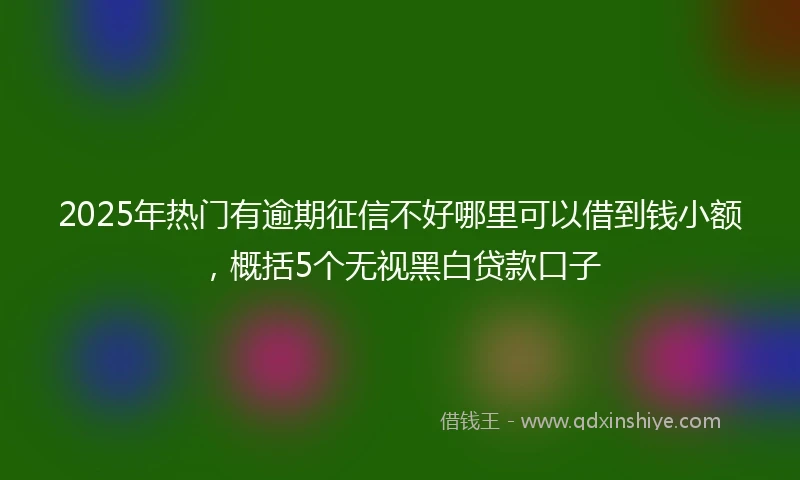 2025年热门有逾期征信不好哪里可以借到钱小额，概括5个无视黑白贷款口子