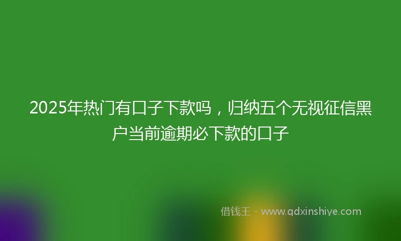 2025年热门有口子下款吗，归纳五个无视征信黑户当前逾期必下款的口子