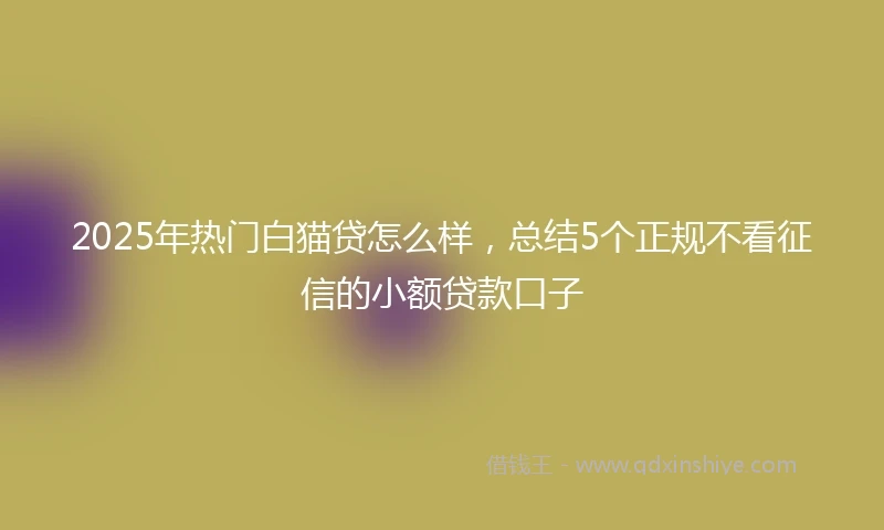 2025年热门白猫贷怎么样，总结5个正规不看征信的小额贷款口子