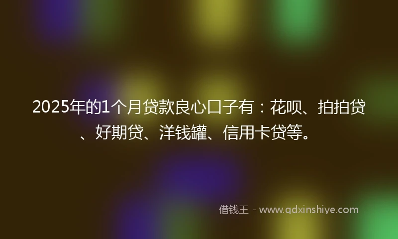 2025年的1个月贷款良心口子有：花呗、拍拍贷、好期贷、洋钱罐、信用卡贷等。