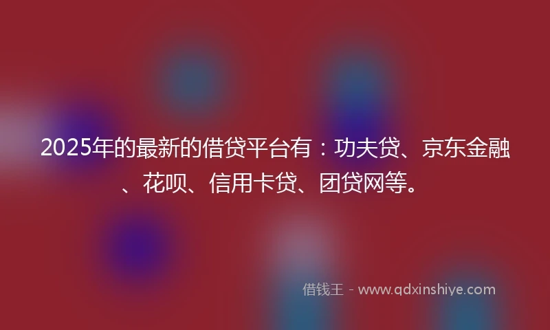2025年的最新的借贷平台有：功夫贷、京东金融、花呗、信用卡贷、团贷网等。