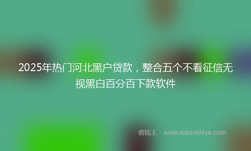 2025年热门河北黑户贷款，整合五个不看征信无视黑白百分百下款软件