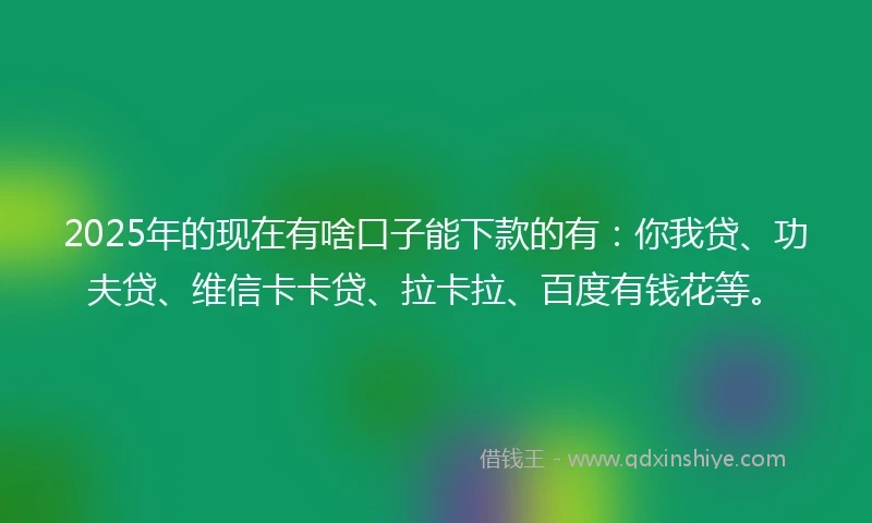 2025年的现在有啥口子能下款的有：你我贷、功夫贷、维信卡卡贷、拉卡拉、百度有钱花等。