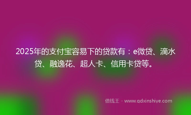 2025年的支付宝容易下的贷款有：e微贷、滴水贷、融逸花、超人卡、信用卡贷等。