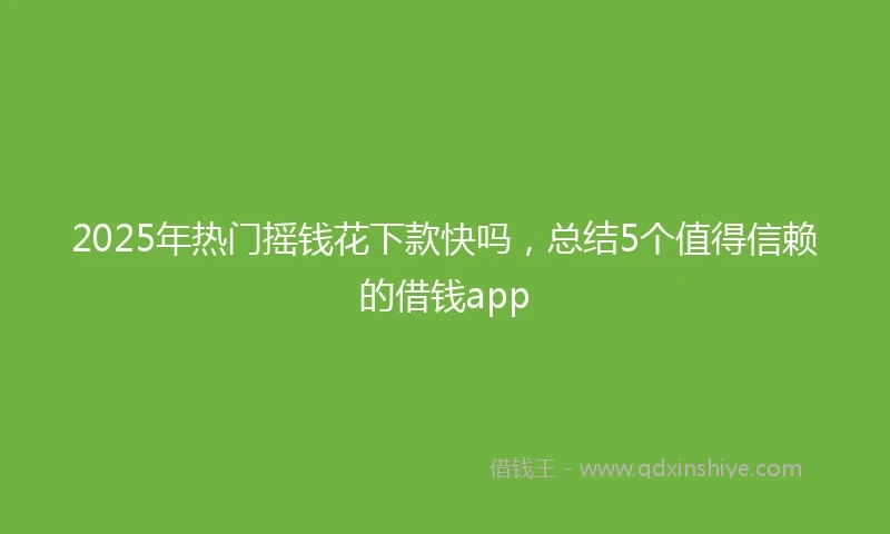2025年热门摇钱花下款快吗，总结5个值得信赖的借钱app