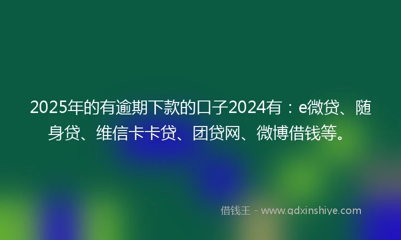2025年的有逾期下款的口子2024有：e微贷、随身贷、维信卡卡贷、团贷网、微博借钱等。