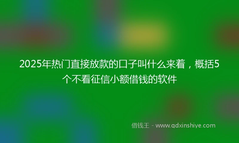 2025年热门直接放款的口子叫什么来着，概括5个不看征信小额借钱的软件
