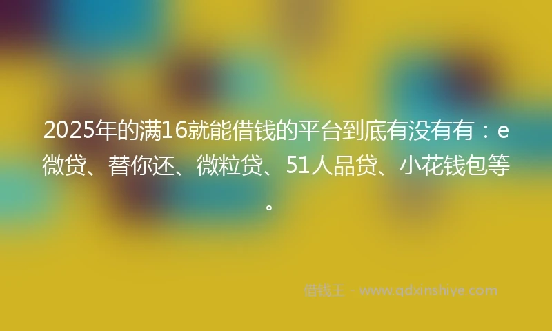 2025年的满16就能借钱的平台到底有没有有：e微贷、替你还、微粒贷、51人品贷、小花钱包等。