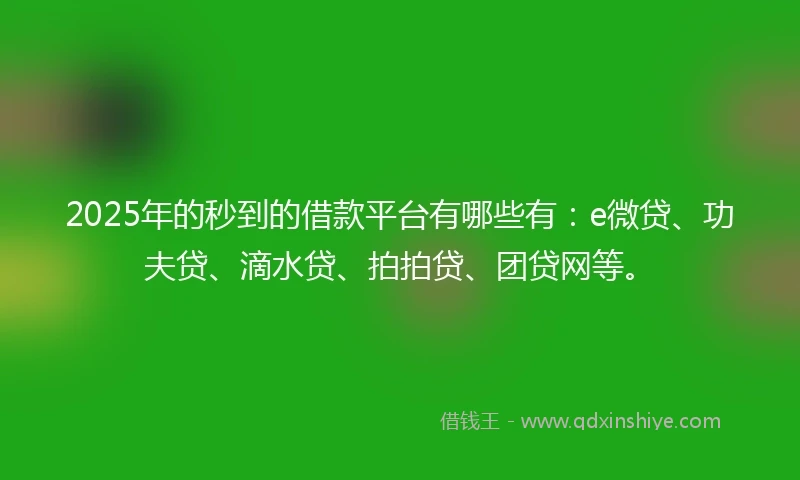 2025年的秒到的借款平台有哪些有：e微贷、功夫贷、滴水贷、拍拍贷、团贷网等。