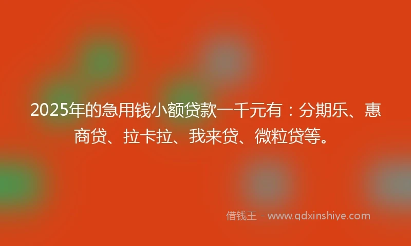 2025年的急用钱小额贷款一千元有：分期乐、惠商贷、拉卡拉、我来贷、微粒贷等。