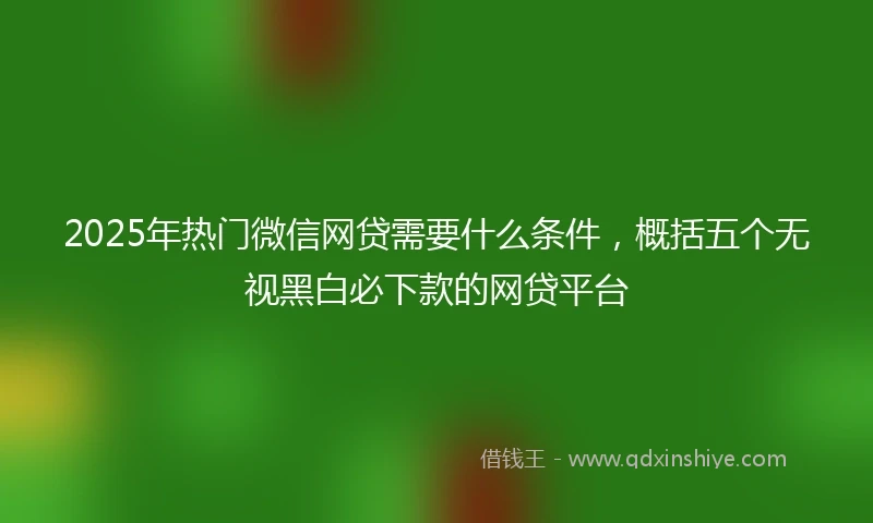 2025年热门微信网贷需要什么条件，概括五个无视黑白必下款的网贷平台