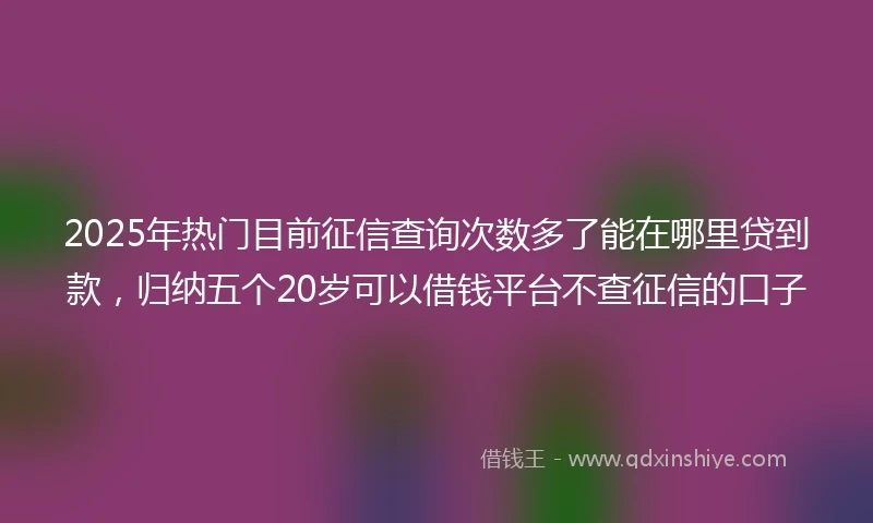 2025年热门目前征信查询次数多了能在哪里贷到款，归纳五个20岁可以借钱平台不查征信的口子