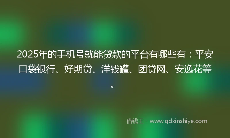 2025年的手机号就能贷款的平台有哪些有：平安口袋银行、好期贷、洋钱罐、团贷网、安逸花等。