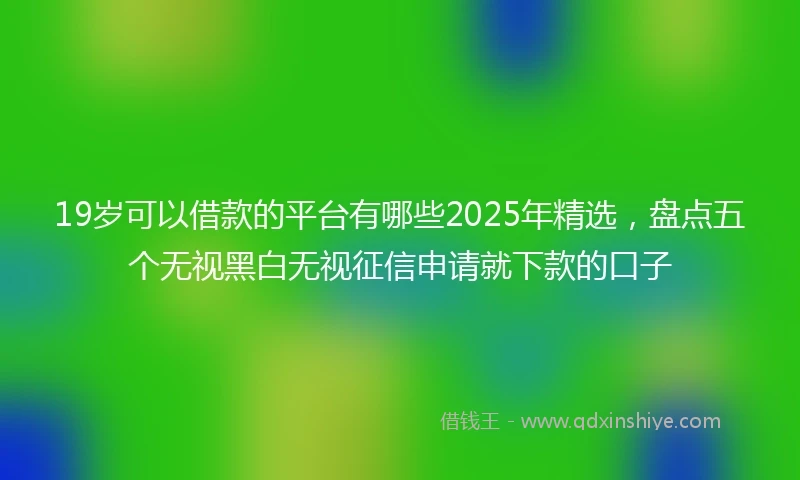 19岁可以借款的平台有哪些2025年精选，盘点五个无视黑白无视征信申请就下款的口子