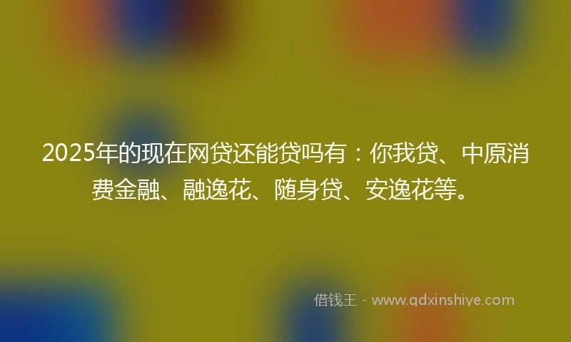 2025年的现在网贷还能贷吗有：你我贷、中原消费金融、融逸花、随身贷、安逸花等。