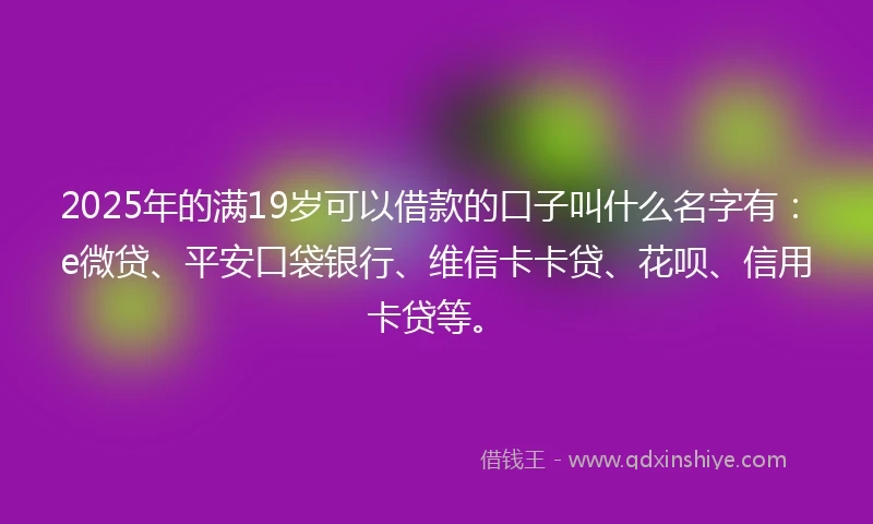 2025年的满19岁可以借款的口子叫什么名字有：e微贷、平安口袋银行、维信卡卡贷、花呗、信用卡贷等。