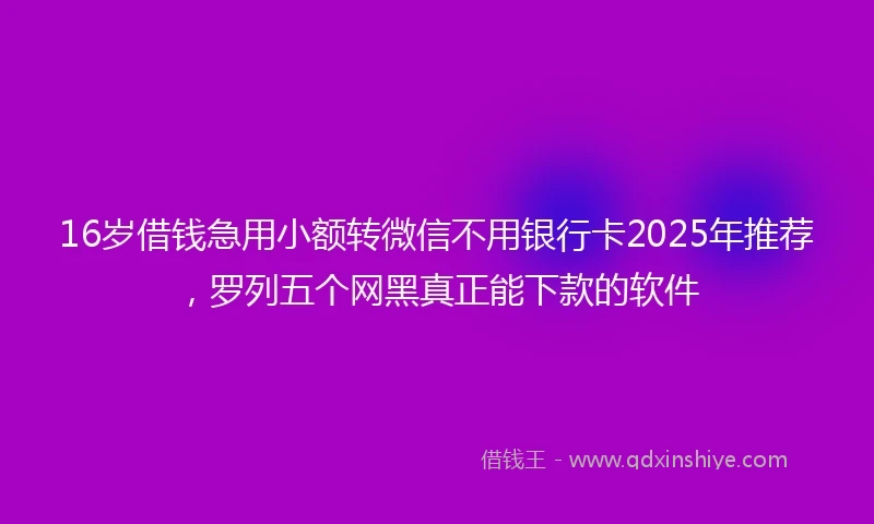 16岁借钱急用小额转微信不用银行卡2025年推荐，罗列五个网黑真正能下款的软件