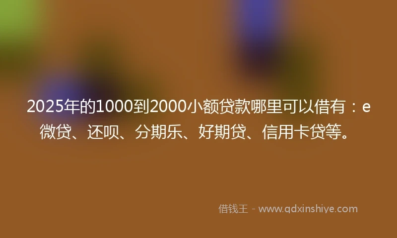2025年的1000到2000小额贷款哪里可以借有：e微贷、还呗、分期乐、好期贷、信用卡贷等。