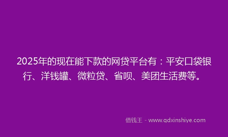 2025年的现在能下款的网贷平台有：平安口袋银行、洋钱罐、微粒贷、省呗、美团生活费等。