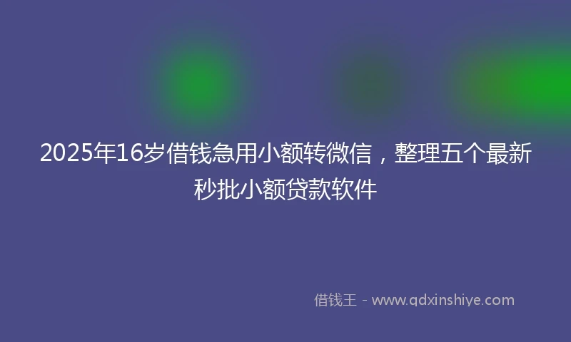 2025年16岁借钱急用小额转微信，整理五个最新秒批小额贷款软件