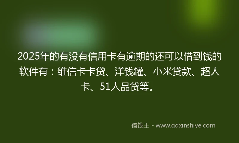 2025年的有没有信用卡有逾期的还可以借到钱的软件有：维信卡卡贷、洋钱罐、小米贷款、超人卡、51人品贷等。