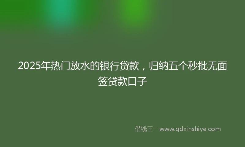 2025年热门放水的银行贷款，归纳五个秒批无面签贷款口子