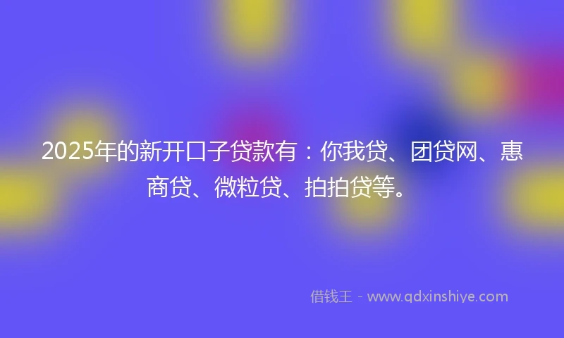 2025年的新开口子贷款有：你我贷、团贷网、惠商贷、微粒贷、拍拍贷等。