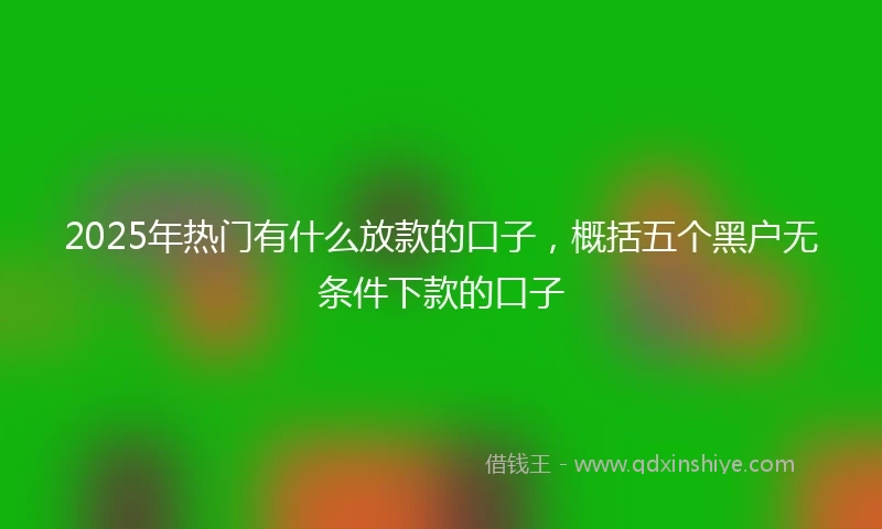 2025年热门有什么放款的口子，概括五个黑户无条件下款的口子