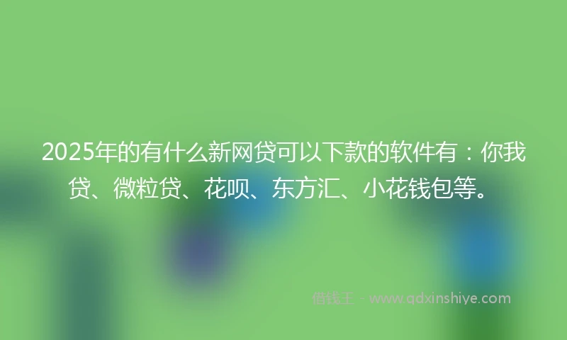 2025年的有什么新网贷可以下款的软件有：你我贷、微粒贷、花呗、东方汇、小花钱包等。
