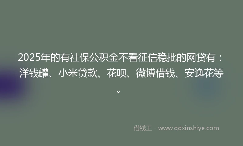 2025年的有社保公积金不看征信稳批的网贷有：洋钱罐、小米贷款、花呗、微博借钱、安逸花等。