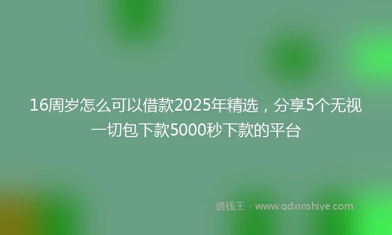 16周岁怎么可以借款2025年精选，分享5个无视一切包下款5000秒下款的平台