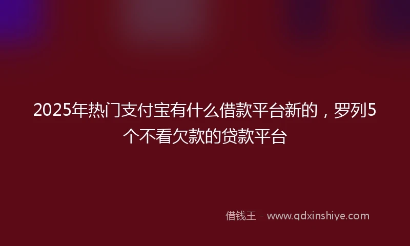 2025年热门支付宝有什么借款平台新的，罗列5个不看欠款的贷款平台