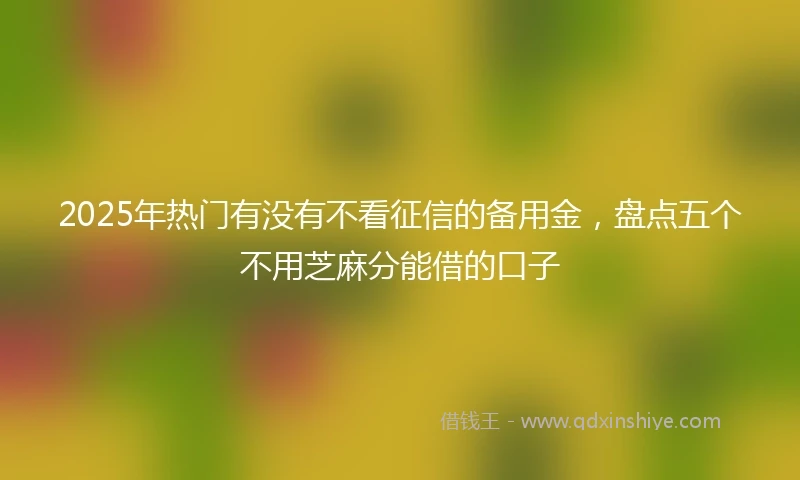 2025年热门有没有不看征信的备用金，盘点五个不用芝麻分能借的口子