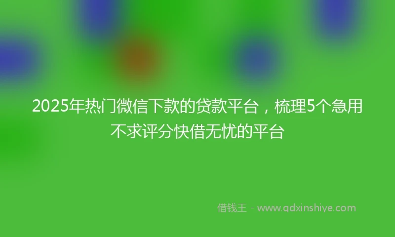 2025年热门微信下款的贷款平台，梳理5个急用不求评分快借无忧的平台