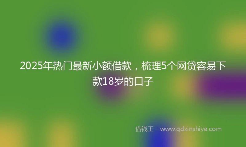 2025年热门最新小额借款，梳理5个网贷容易下款18岁的口子