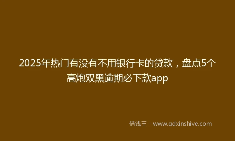 2025年热门有没有不用银行卡的贷款，盘点5个高炮双黑逾期必下款app