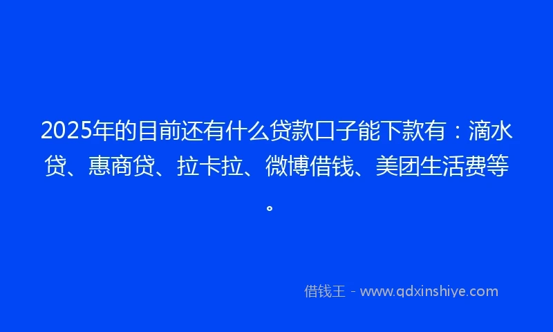 2025年的目前还有什么贷款口子能下款有：滴水贷、惠商贷、拉卡拉、微博借钱、美团生活费等。