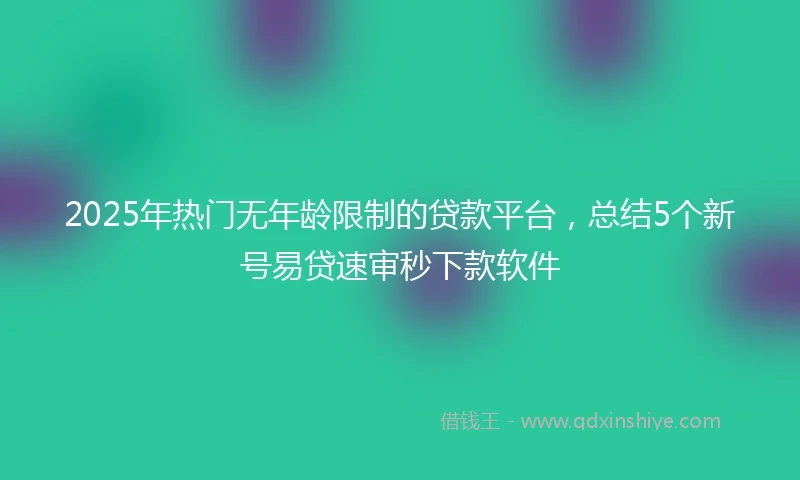 2025年热门无年龄限制的贷款平台，总结5个新号易贷速审秒下款软件