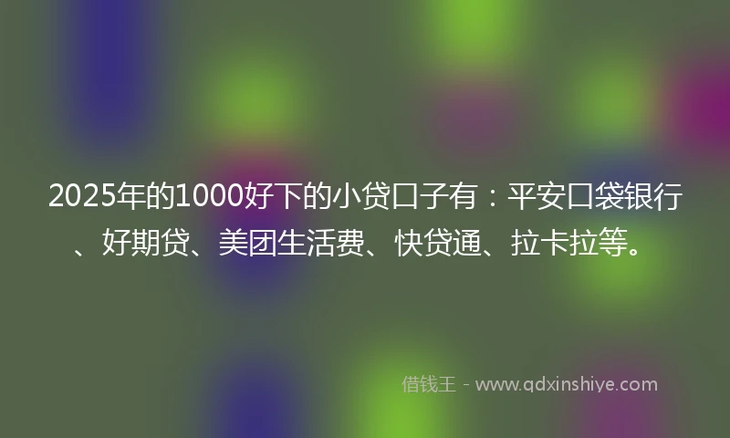 2025年的1000好下的小贷口子有：平安口袋银行、好期贷、美团生活费、快贷通、拉卡拉等。