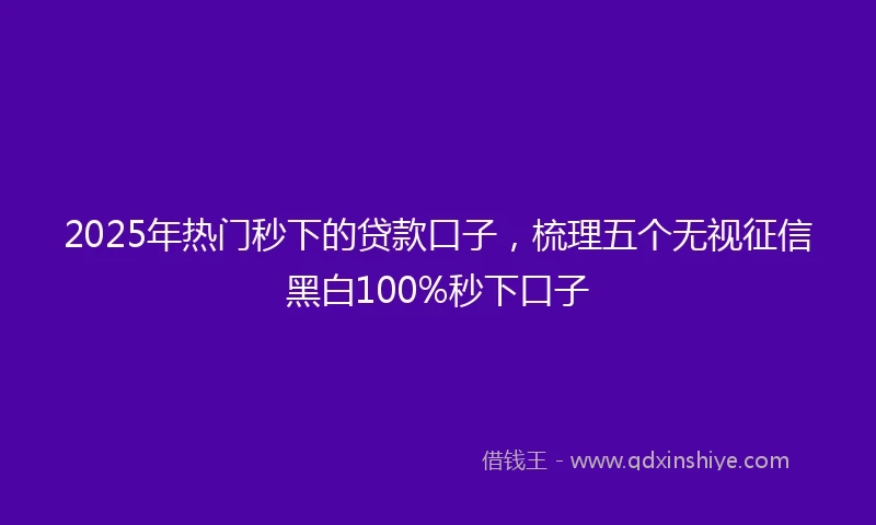 2025年热门秒下的贷款口子，梳理五个无视征信黑白100%秒下口子