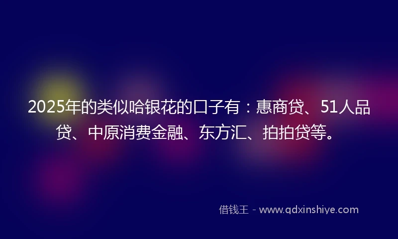 2025年的类似哈银花的口子有：惠商贷、51人品贷、中原消费金融、东方汇、拍拍贷等。