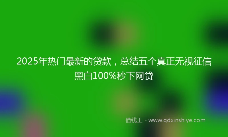 2025年热门最新的贷款，总结五个真正无视征信黑白100%秒下网贷