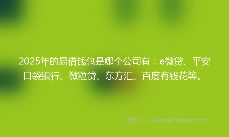 2025年的易借钱包是哪个公司有：e微贷、平安口袋银行、微粒贷、东方汇、百度有钱花等。