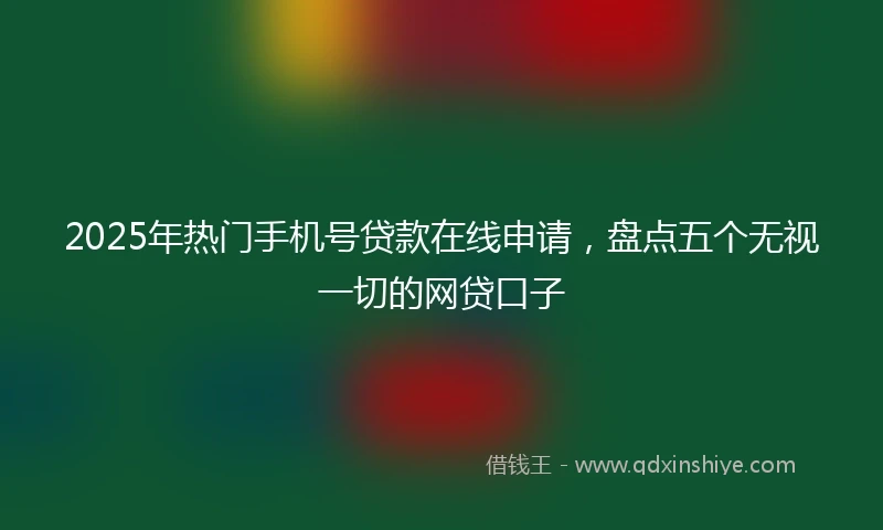 2025年热门手机号贷款在线申请，盘点五个无视一切的网贷口子