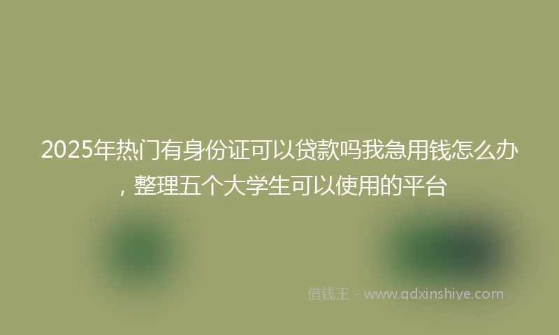 2025年热门有身份证可以贷款吗我急用钱怎么办，整理五个大学生可以使用的平台