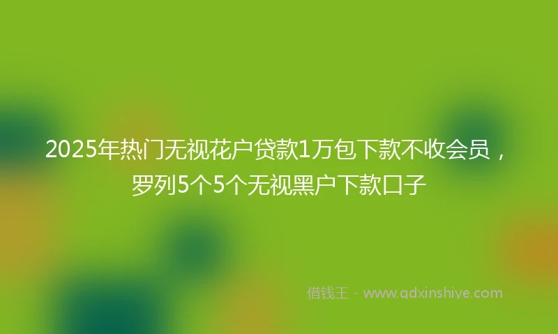 2025年热门无视花户贷款1万包下款不收会员，罗列5个5个无视黑户下款口子