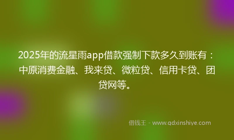 2025年的流星雨app借款强制下款多久到账有：中原消费金融、我来贷、微粒贷、信用卡贷、团贷网等。