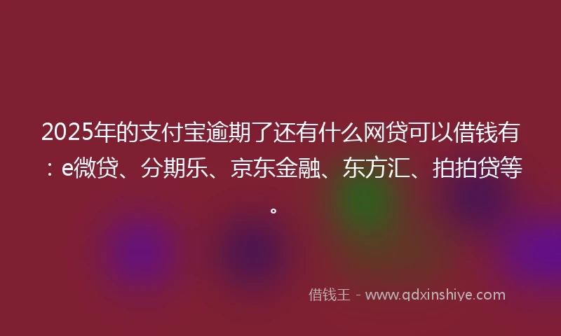 2025年的支付宝逾期了还有什么网贷可以借钱有：e微贷、分期乐、京东金融、东方汇、拍拍贷等。